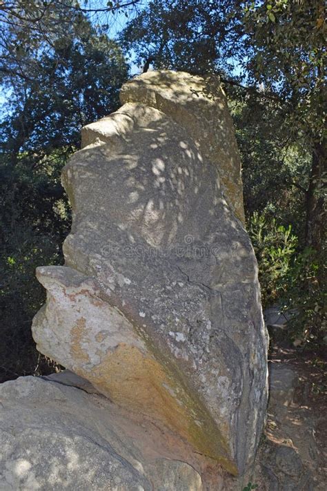 The Enchanted Forest of Òrrius – Òrrius, Spain